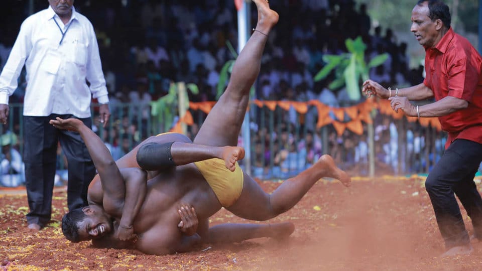 Two hours wrestling at Suttur Jathra ends in a draw