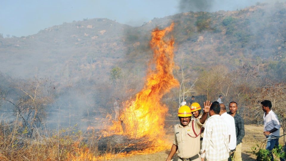 Inferno at Chamundi Hill: Charred body of woman found; fire set to cover up murder, suspect Police