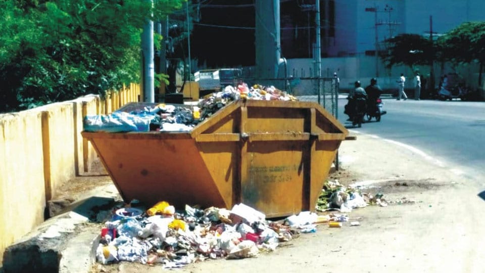 Provide dustbins and clear garbage regularly