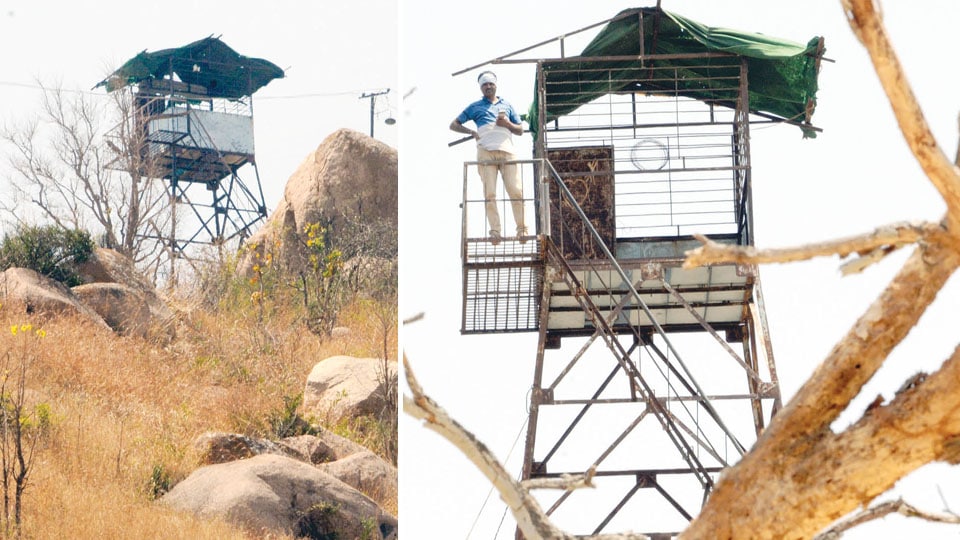 Forest Fire-Lookout Towers dot Chamundi Hill