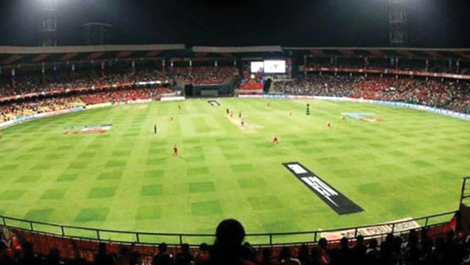 Now, an exclusive “DogOut” for RCB home matches