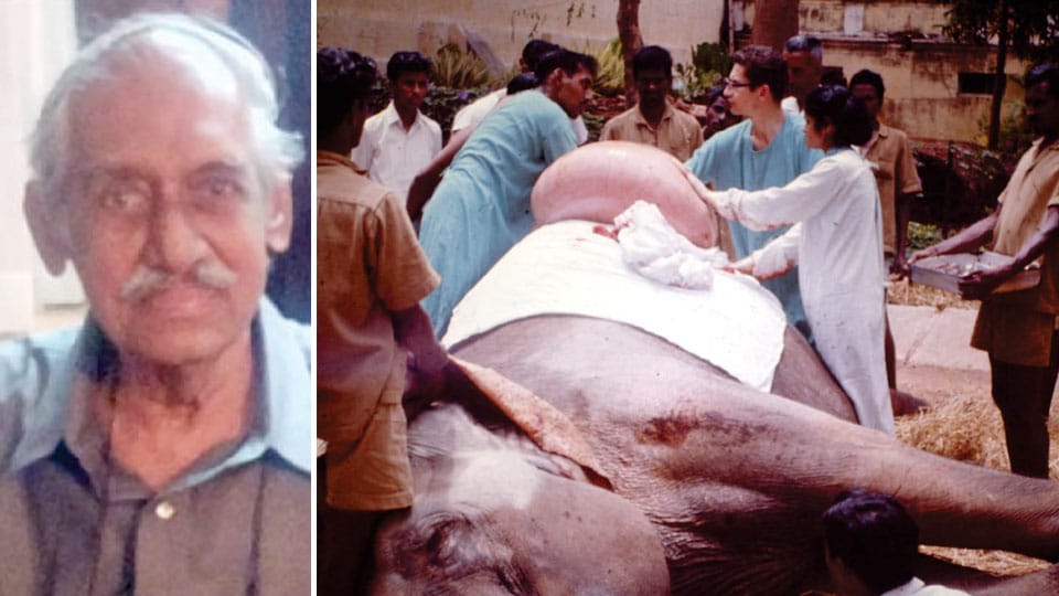 Mysuru doctor remembers his tryst with pregnant elephant