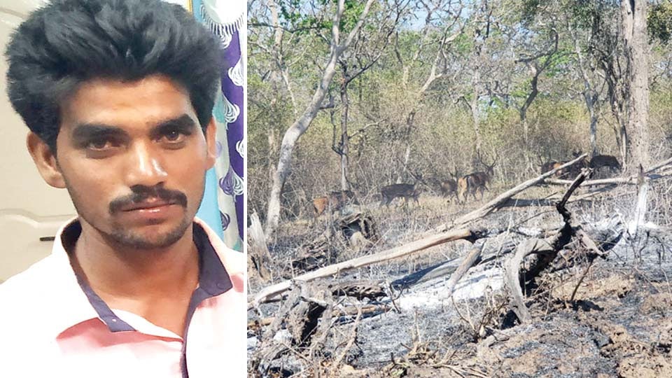 Man accused of igniting fire in Bandipur forest arrested