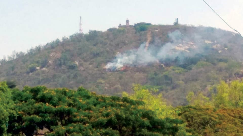 Fire atop Chamundi Hill yet again