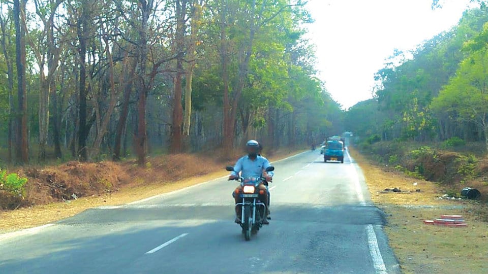 Install humps on Mysuru-Virajpet Highway via Anechowkur: HC