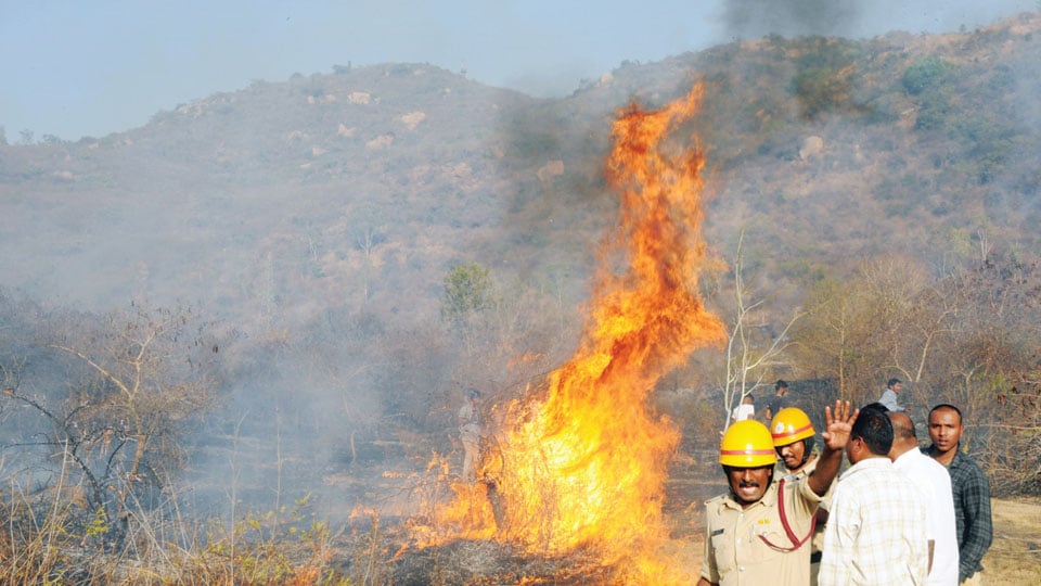 ‘Forest, Police Departments must take blame for fire atop Chamundi Hill