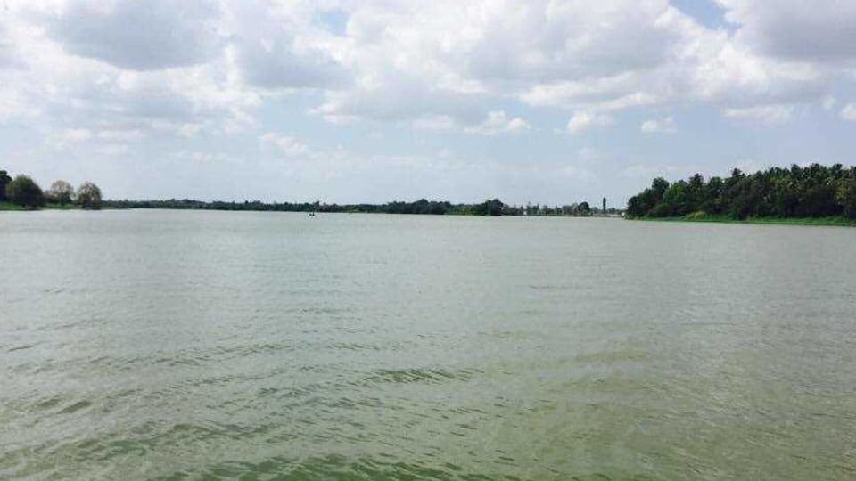Brothers drown in Lake