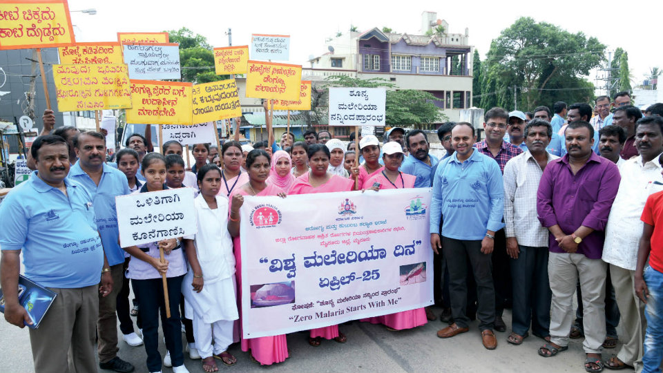 Rally marks World Malaria Day