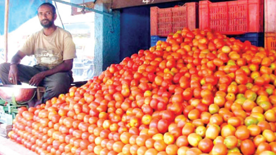Tomato prices skyrocket in Mysuru