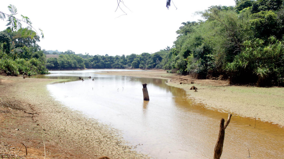 Water crisis looms large over Madikeri as Kootupole goes dry