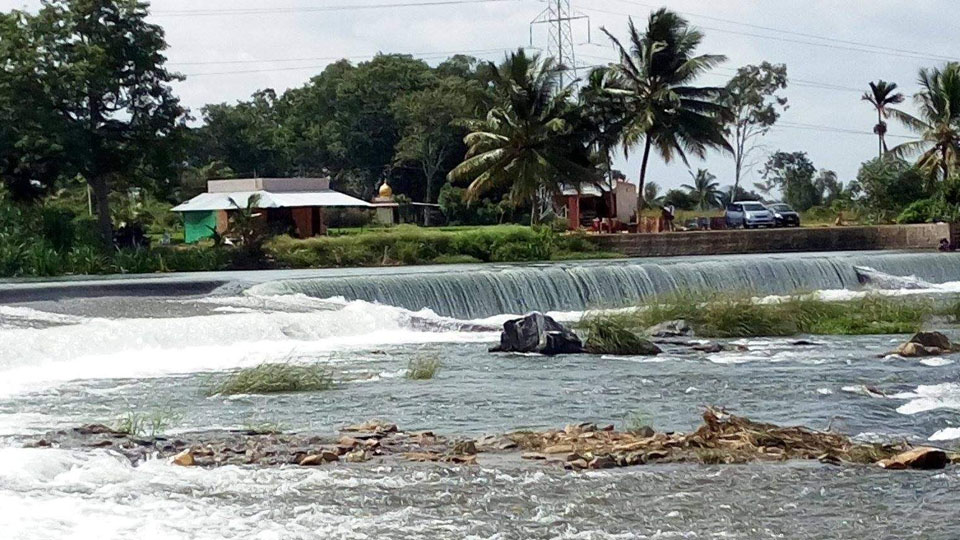 Bengaluru man drowns at Balamuri