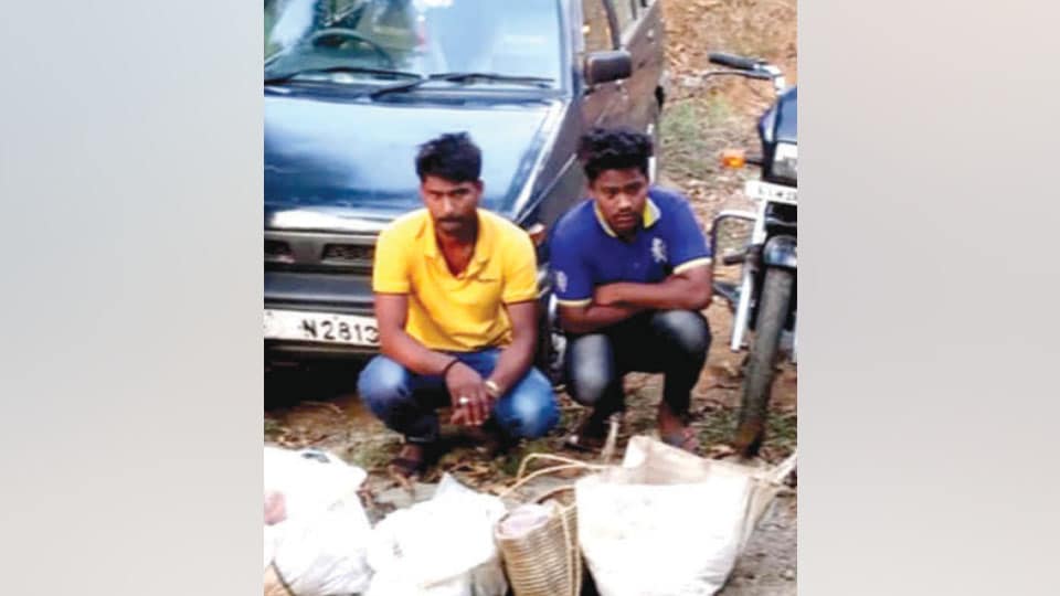 Two poachers with wild boar meat arrested