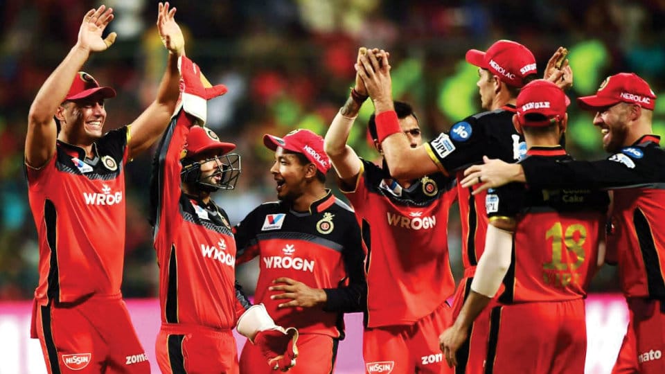 RCB wins over KXIP Stays in race for playoffs