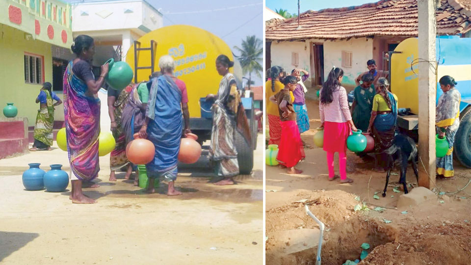 600 Mandya villages under the grip of severe water shortage