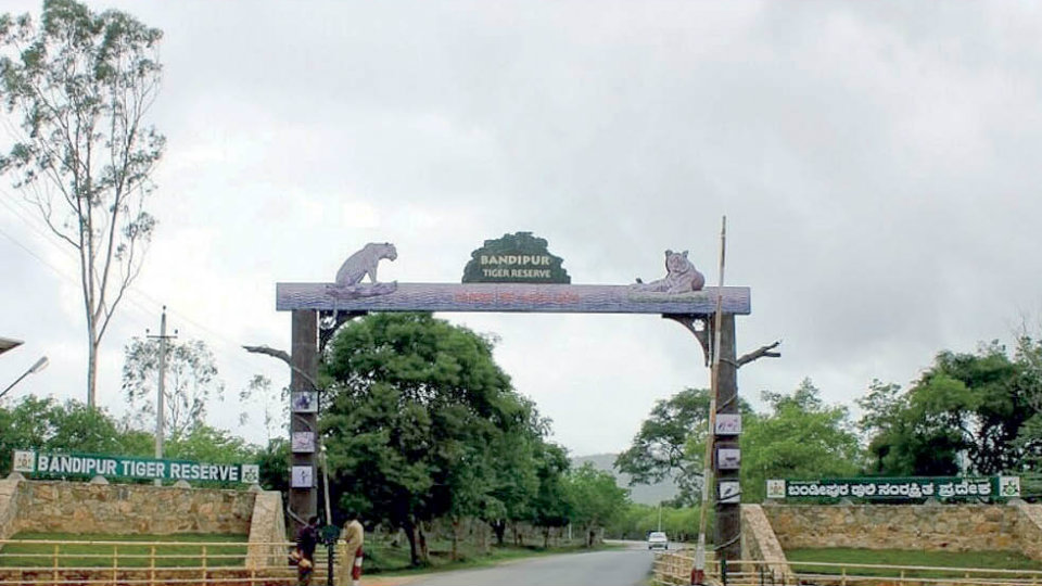 Bandipur Safari to operate from Melukamanahalli Gate from June 2