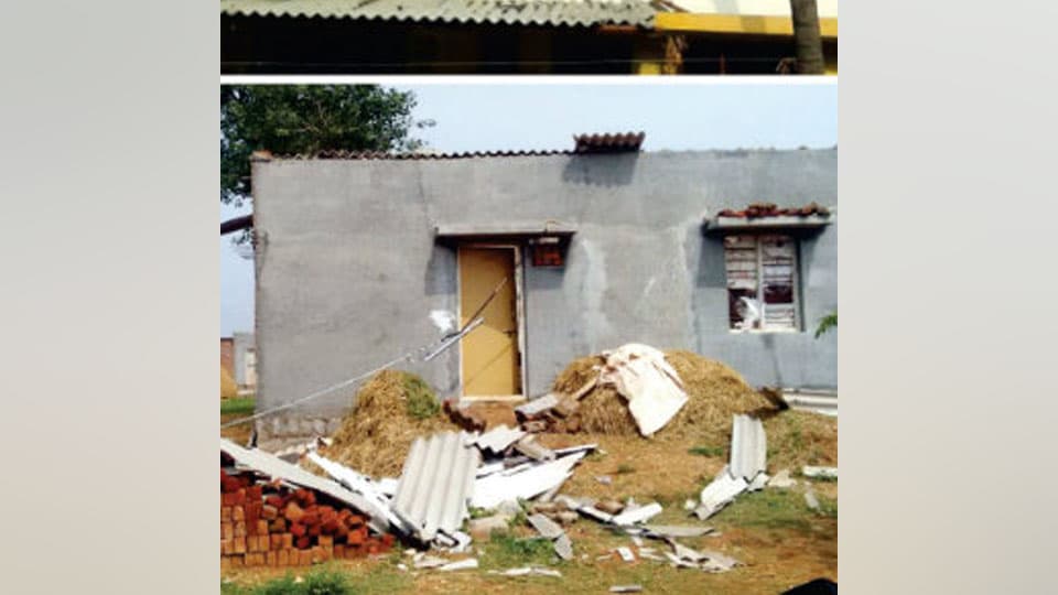 Roof-tops blown away, cow succumbs to lightning in Chamarajanagar