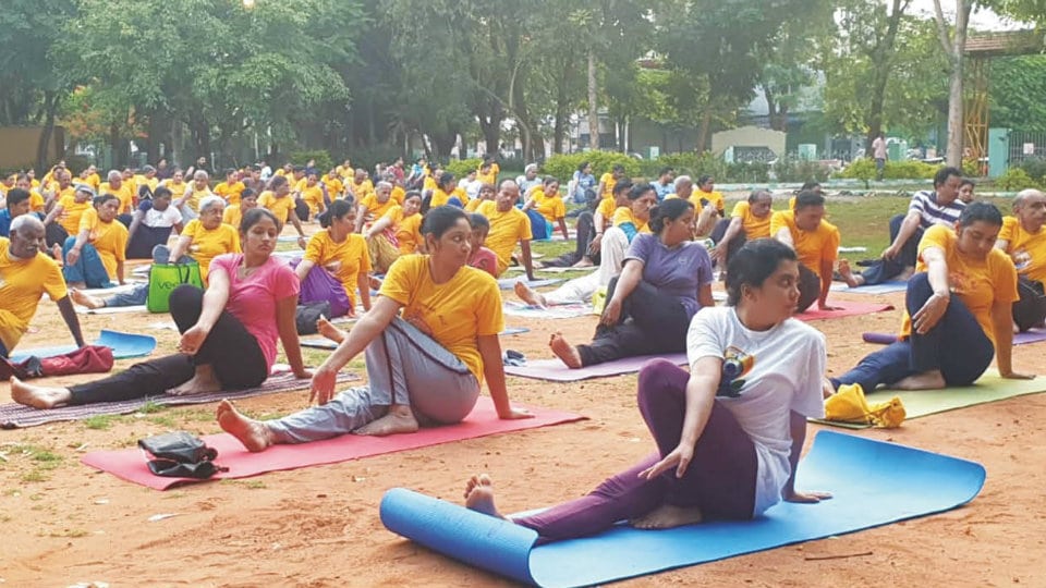 Hundreds take part in rehearsal for International  Yoga Day