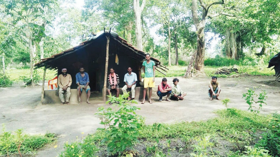 Tribals to stage overnight protest at H.D. Kote tomorrow