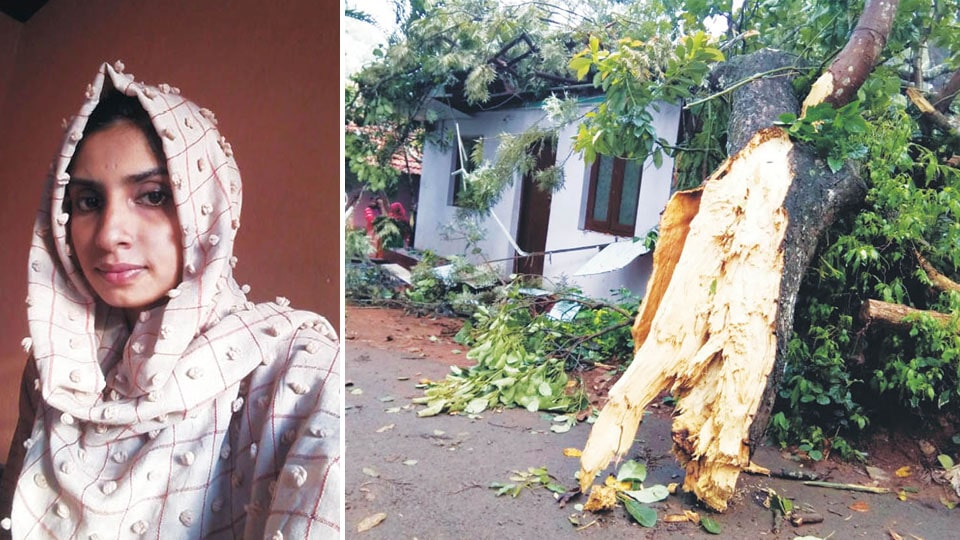 Woman killed as giant tree comes crashing in Kodagu