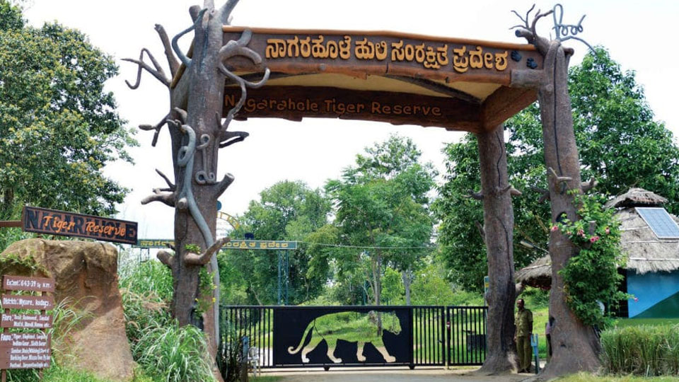 Wildlife First alleges illegal works taken up at Nagarahole Forest