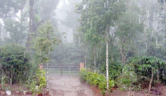 South West Monsoon active in Kodagu