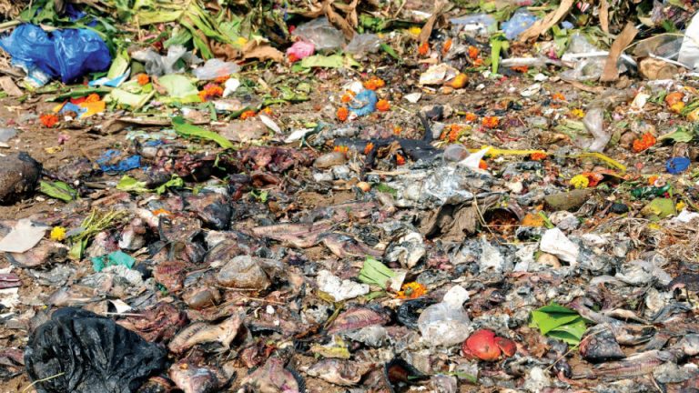 MCC to survey mass wet waste generation points - Star of Mysore