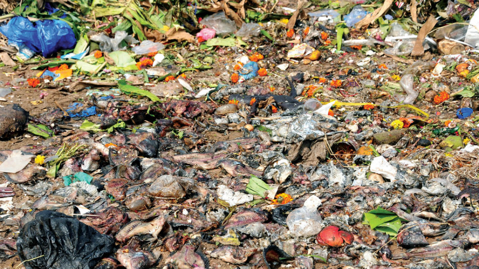 MCC to survey mass wet waste generation points