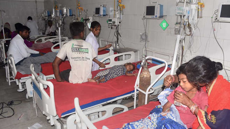 Encephalitis deaths in Bihar: Gandhadagudi Foundation seeks PM’s intervention