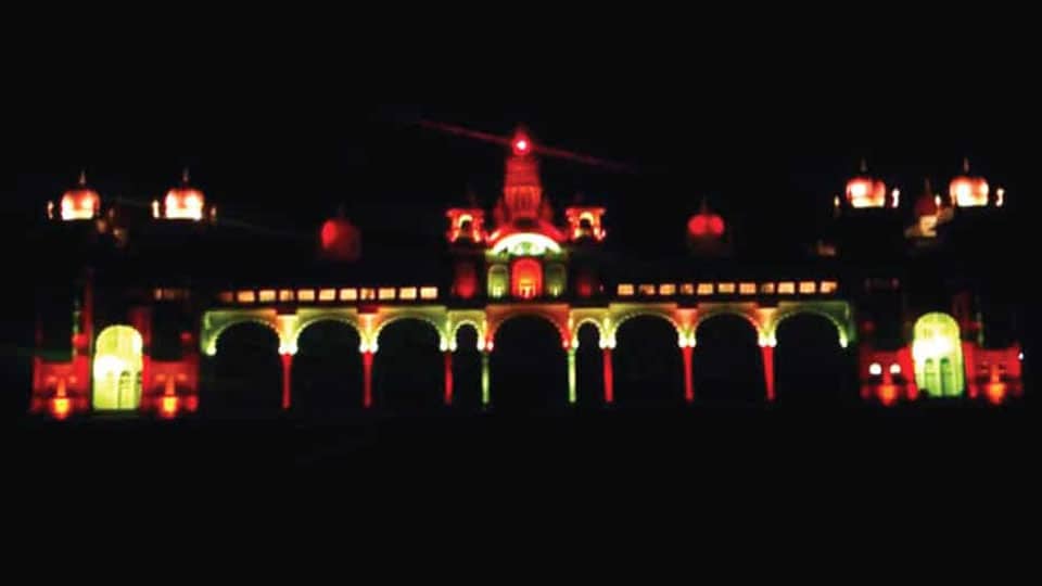 Sound and Light Show at Palace cancelled