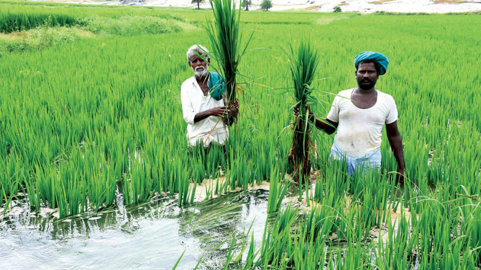 Team Modi approves extension of PM-KISAN Scheme to all farmers