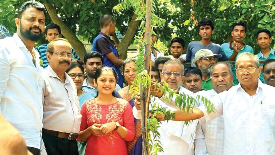 Sasyaradhana: Month-long sapling planting programme launched
