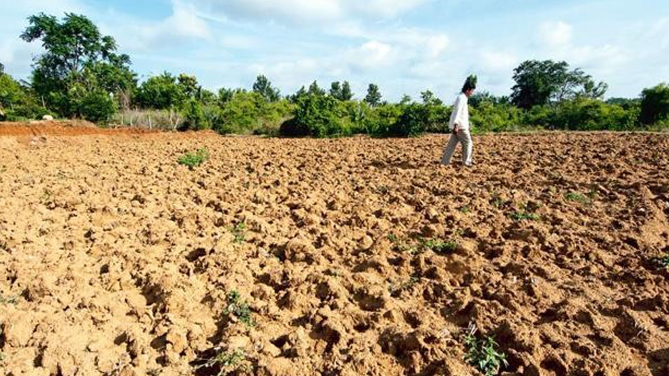 Raitha Sangha leaders to visit drought-hit areas from June 13