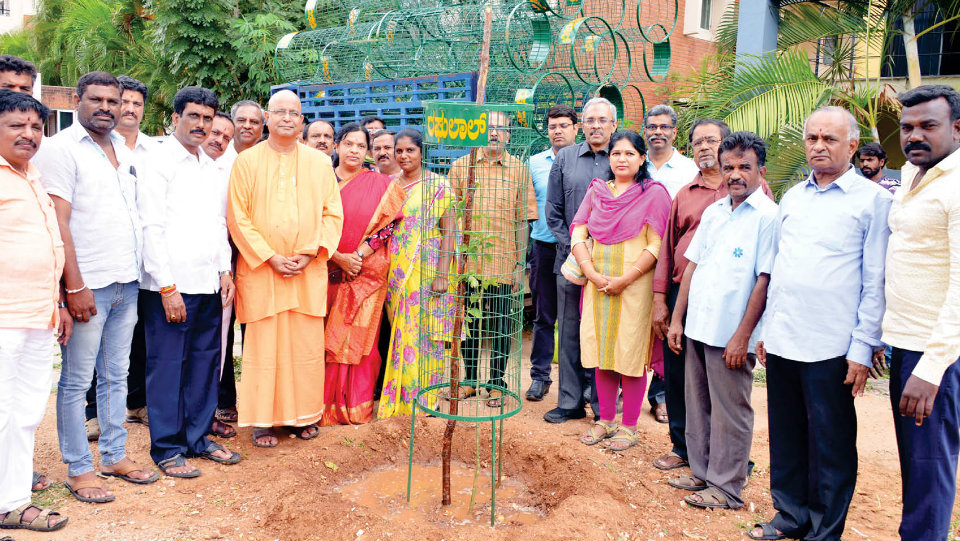 250 saplings planted on KRS Road