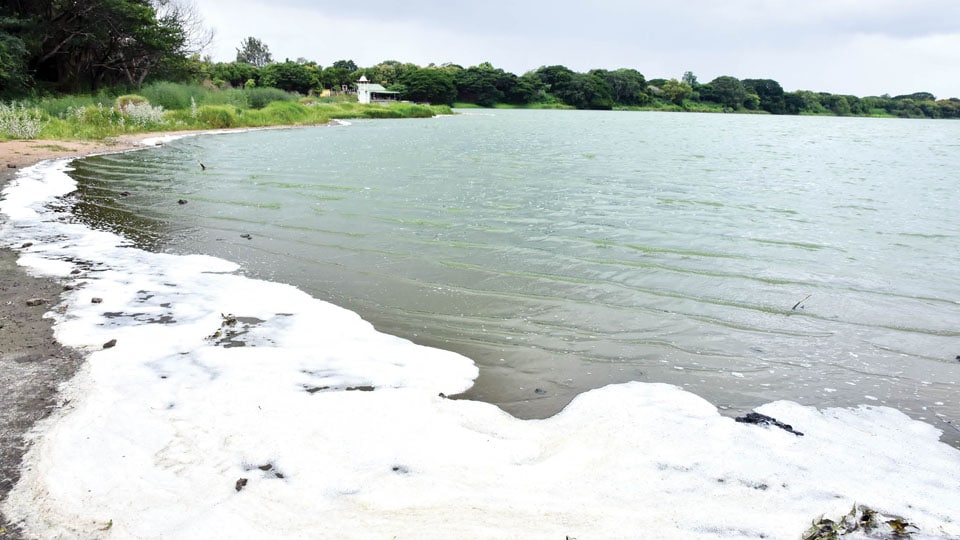 Spewing Froth: Kukkarahalli Lake goes the Bellandur Lake way