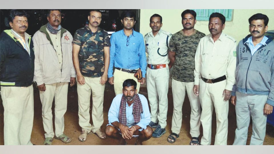 Tiger, leopard poisoning case One among six accused arrested
