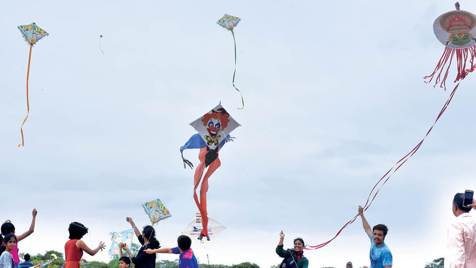 Bright Kites adorn Cloudy Blue Sky and Bring Colours to Life