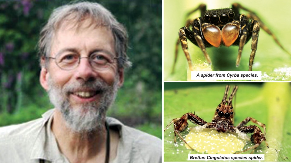 Canada Professor to talk on ‘Diversity of Jumping Spiders’ at RMNH in city