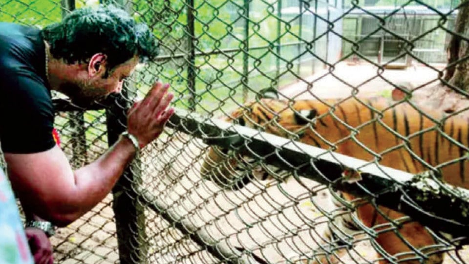 Actor Darshan renews Zoo animal adoption