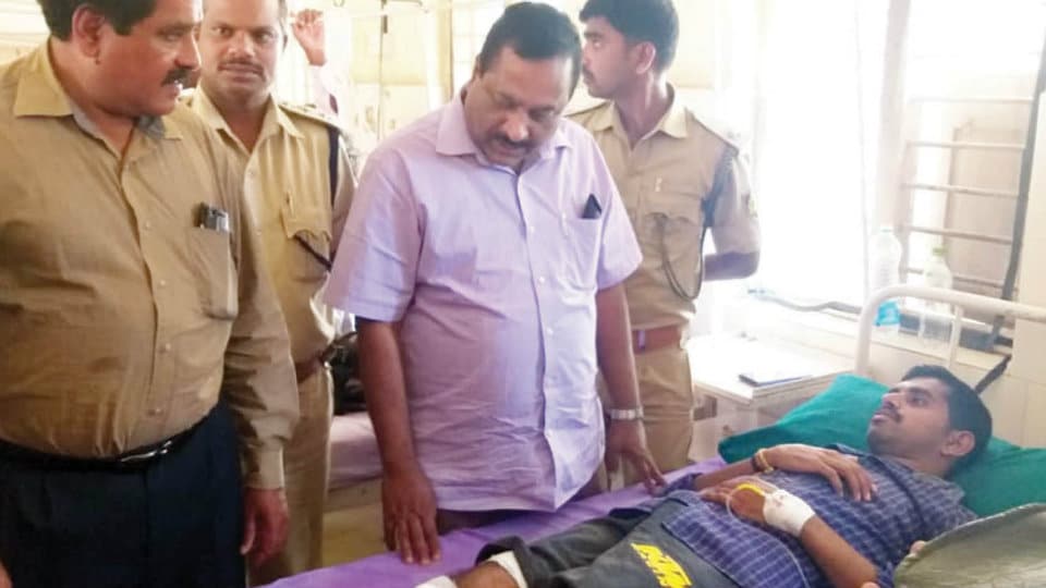 RFO injured in tiger attack near Gundlupet