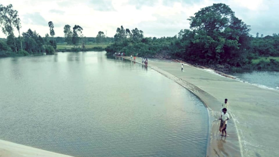 Dams at Kattemalalavadi, Hanagodu in Hunsur full