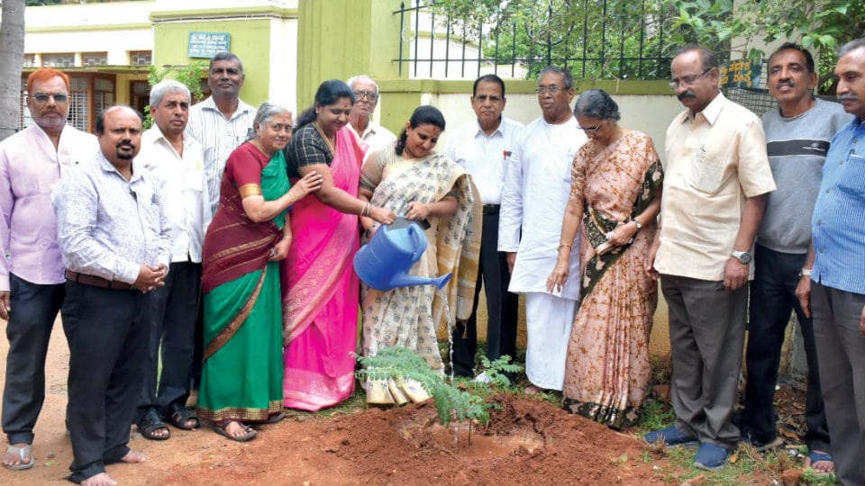 Mayor launches tree-planting drive