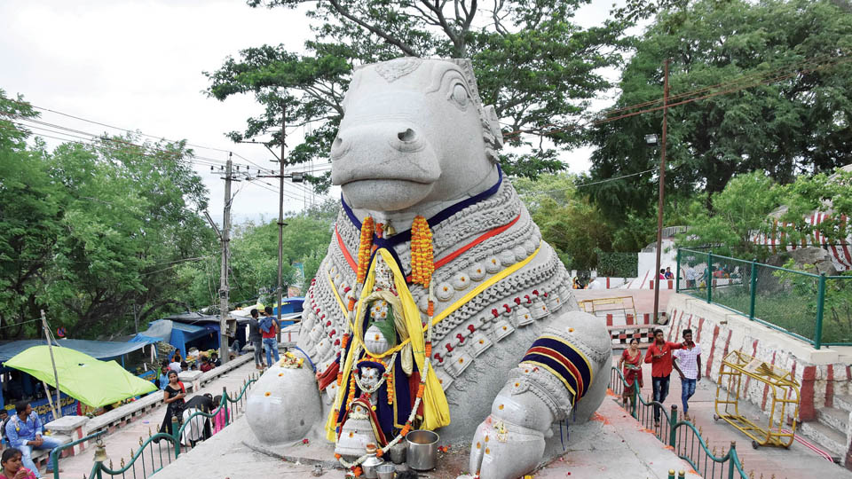 Fissures on Nandi Statue to be fixed with adhesives