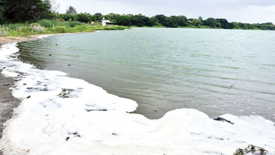 Kukkarahalli Lake spewing froth: Faecal content, detergent water root causes