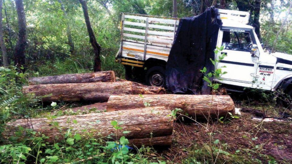 Suspected teak wood smuggler killed as vehicle overturns
