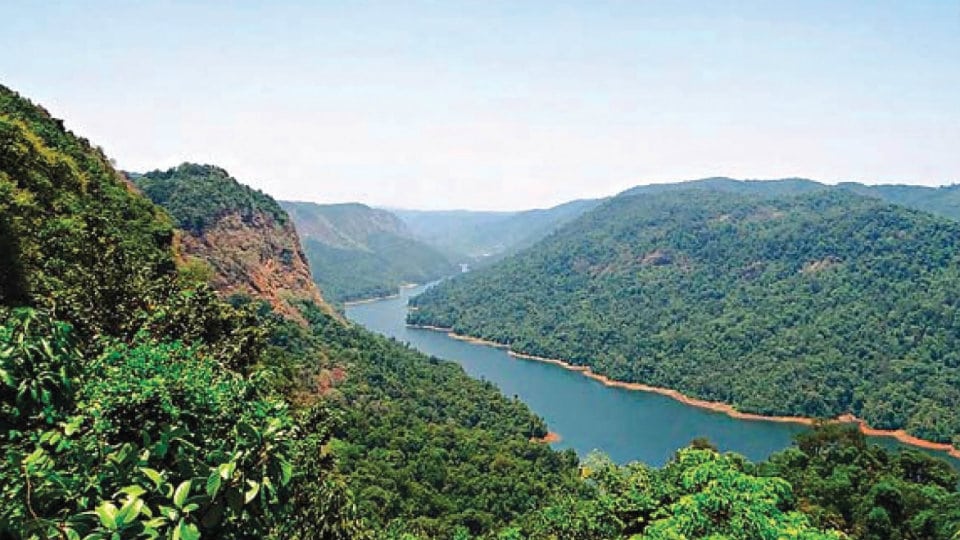 Conserving Eco-Sensitive Western Ghats: Task Force recommends special status to eleven Districts