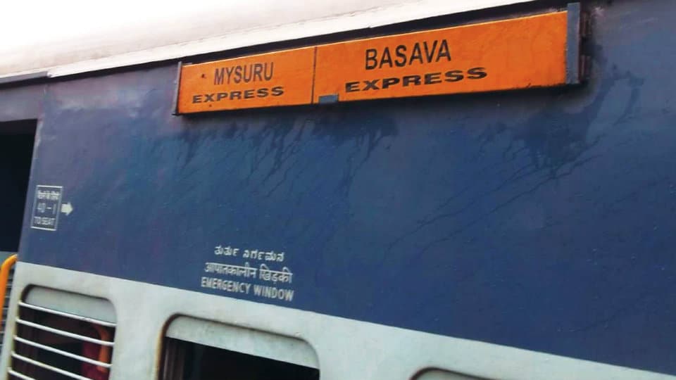 Eucalyptus tree falls on power cable; train traffic disrupted
