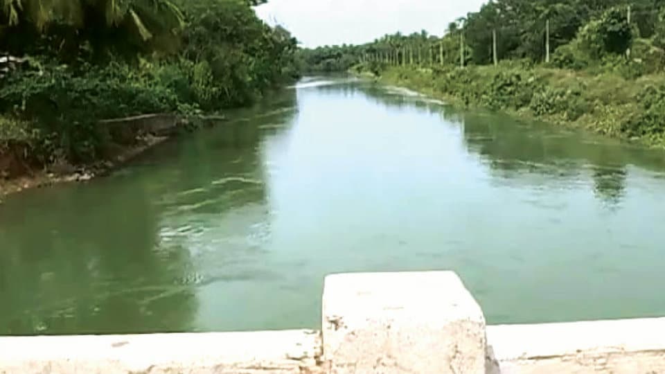 State Government releases water from KRS to Visvesvaraya Canal