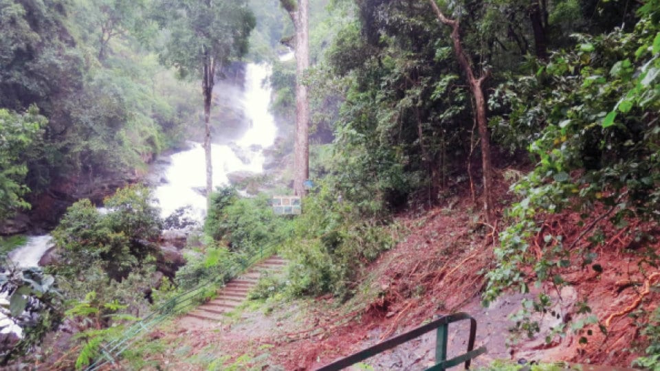 Road to Iruppu Falls caves-in due to landslides