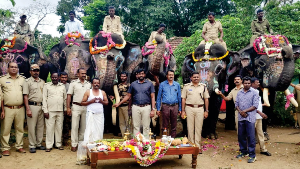 Gajapayana: Dasara elephants leave Anekadu Camp for Veeranahosahalli