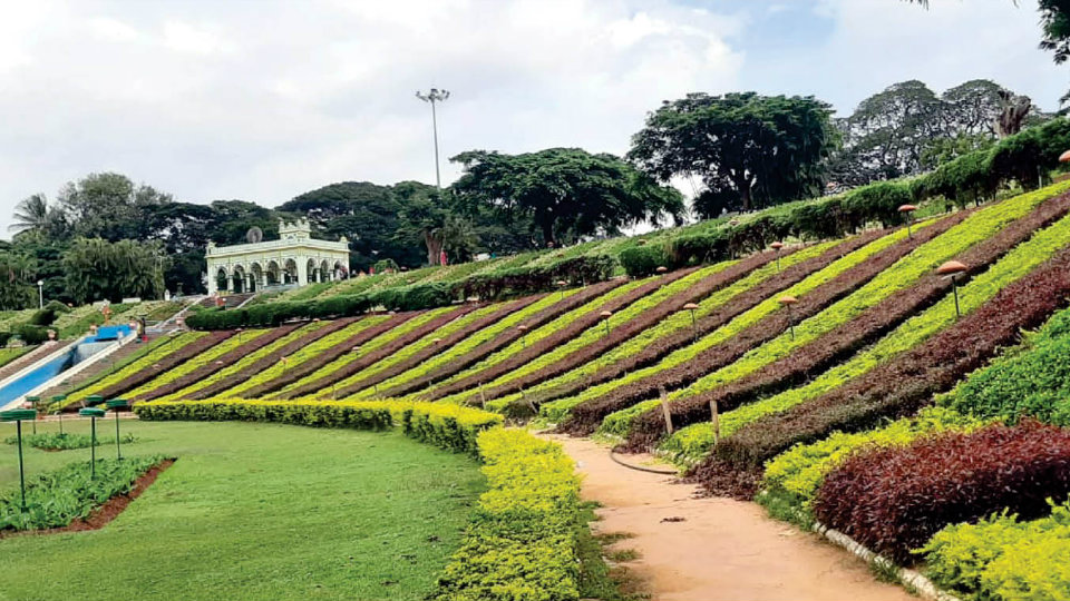 New additions beckon visitors  to Brindavan Gardens